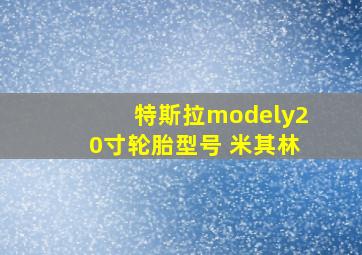 特斯拉modely20寸轮胎型号 米其林